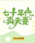 七十年代真夫妻